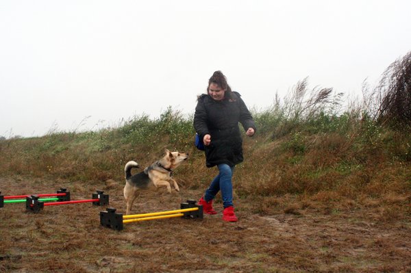 Mädchen beim Training mit Hund